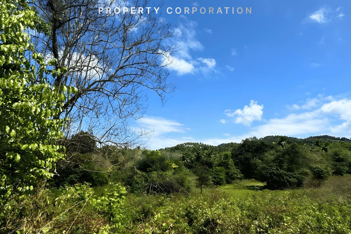 Land for Sale in Tagbitan-Ag, Samal, Davao del Norte