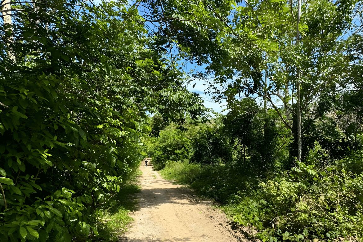 Land for Sale in Tagbitan-Ag, Samal, Davao del Norte – photo 2