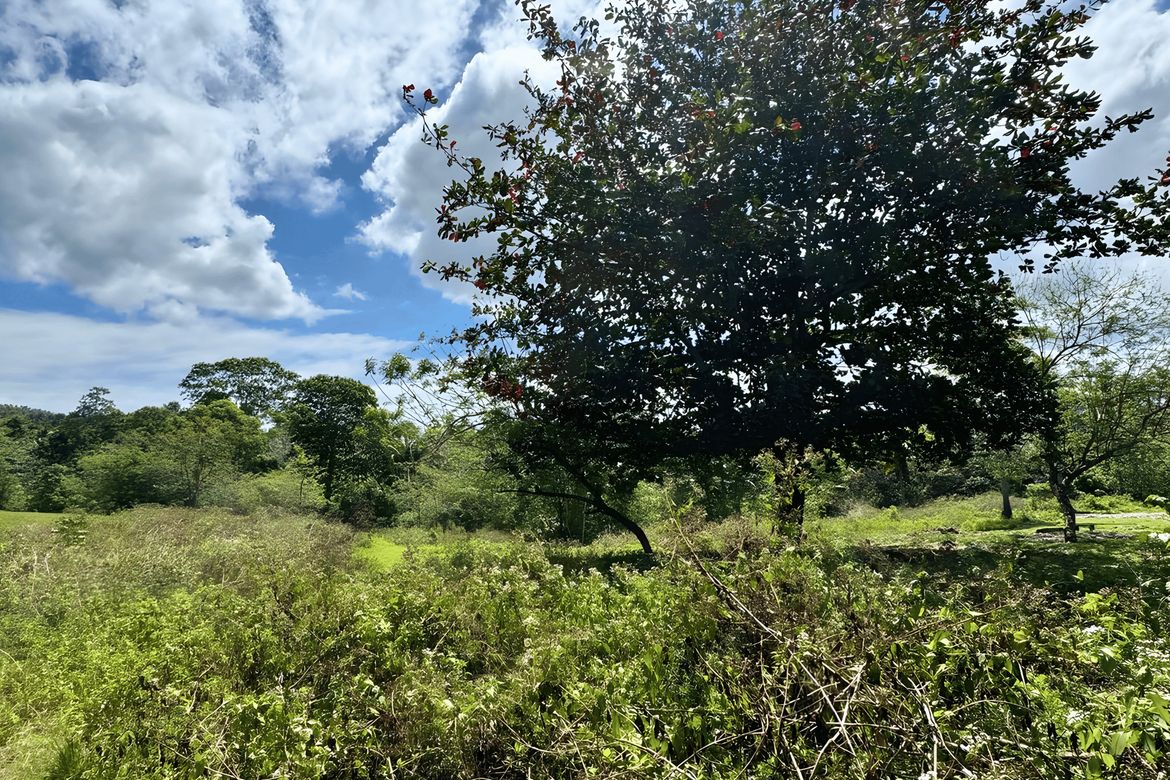 Land for Sale in Tagbitan-Ag, Samal, Davao del Norte – photo 4