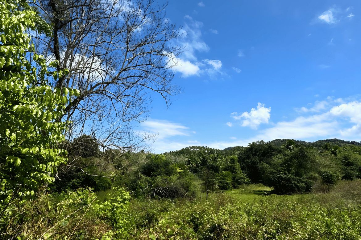 Land for Sale in Tagbitan-Ag, Samal, Davao del Norte – photo 5
