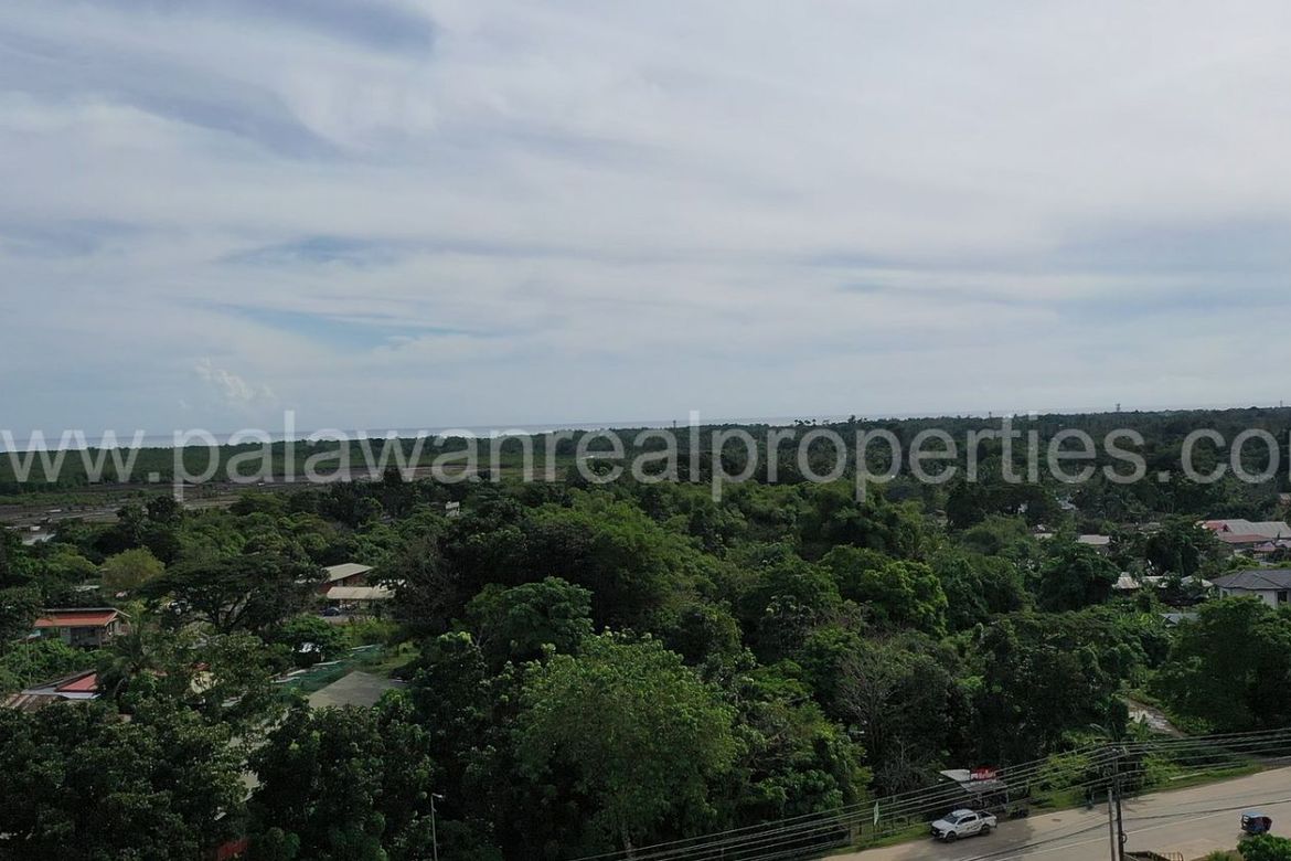 Land for Sale in Tagburos, Puerto Princesa, Palawan – photo 6