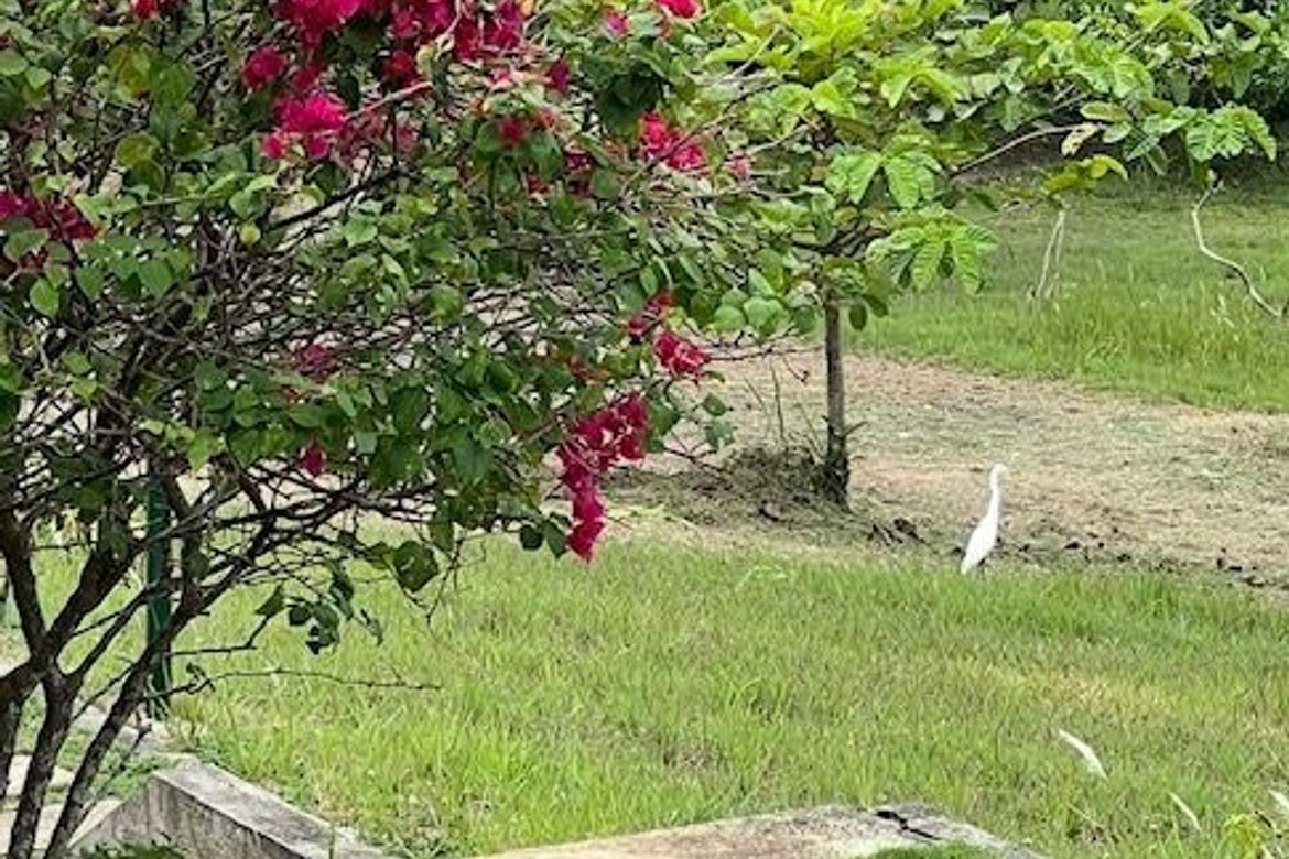 Land for Sale in Tagburos, Puerto Princesa, Palawan – photo 4