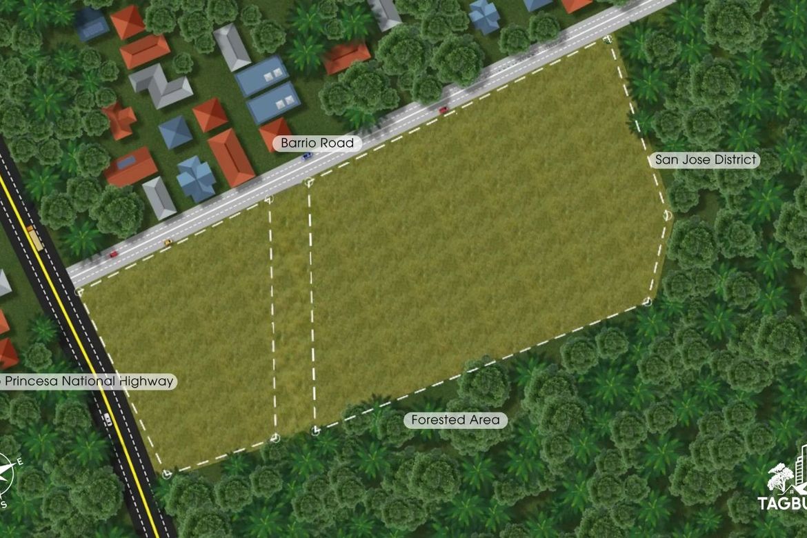 Land for Sale in Tagburos, Puerto Princesa, Palawan – photo 4