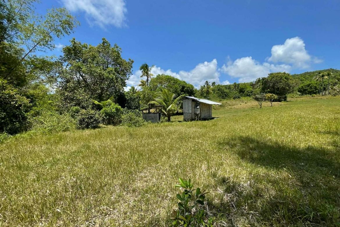 Land for Sale in Tagmanocan, Lazi, Siquijor – photo 2