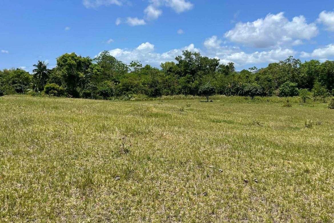 Land for Sale in Tagmanocan, Lazi, Siquijor – photo 5