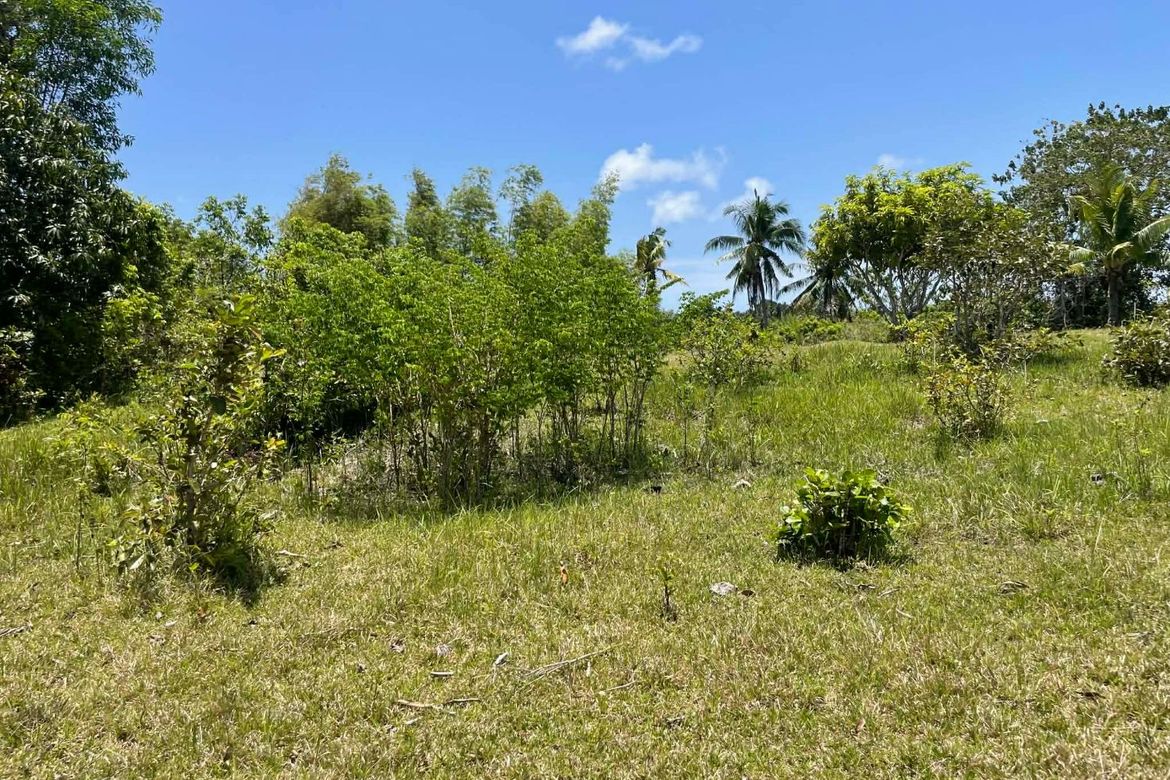 Land for Sale in Tagmanocan, Lazi, Siquijor – photo 7