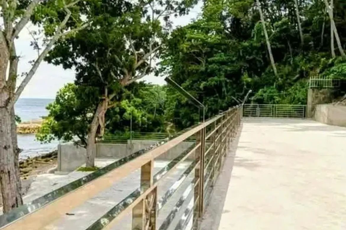 Land for Sale in Tagpopongan, Samal, Davao del Norte – photo 3