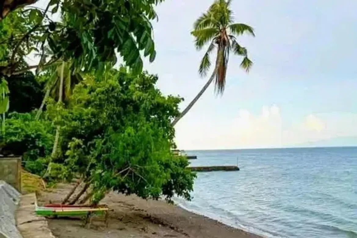 Land for Sale in Tagpopongan, Samal, Davao del Norte – photo 4