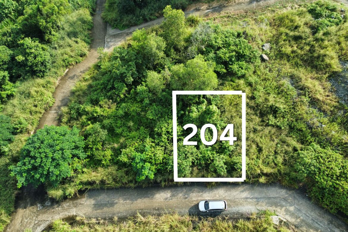 Land for Sale in Tagpos, Binangonan, Rizal – photo 3