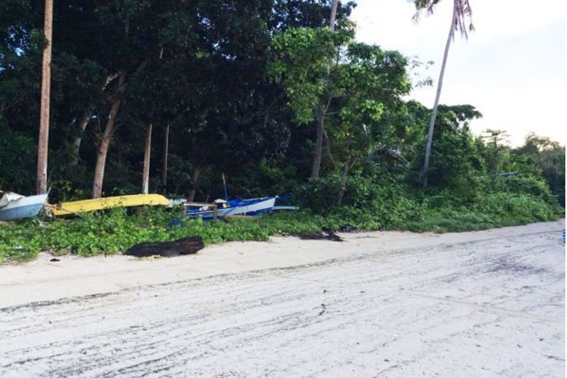 Land for Sale in Taguihon, Baclayon, Bohol – photo 3