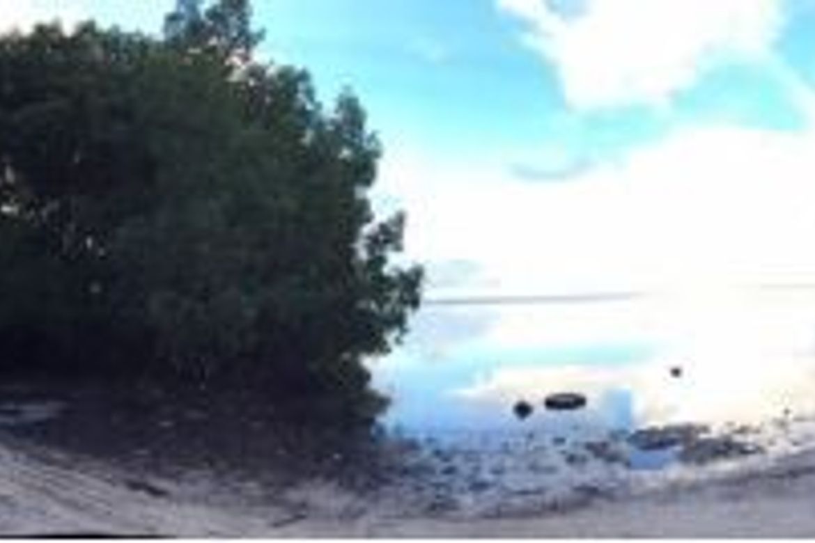 Land for Sale in Taguihon, Baclayon, Bohol – photo 4