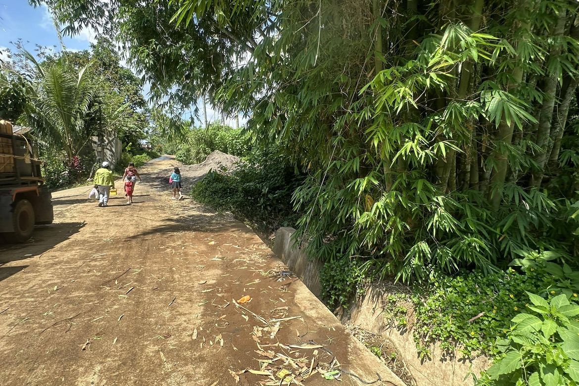 Land for Sale in Tagurano, Davao City, Davao del Sur – photo 3