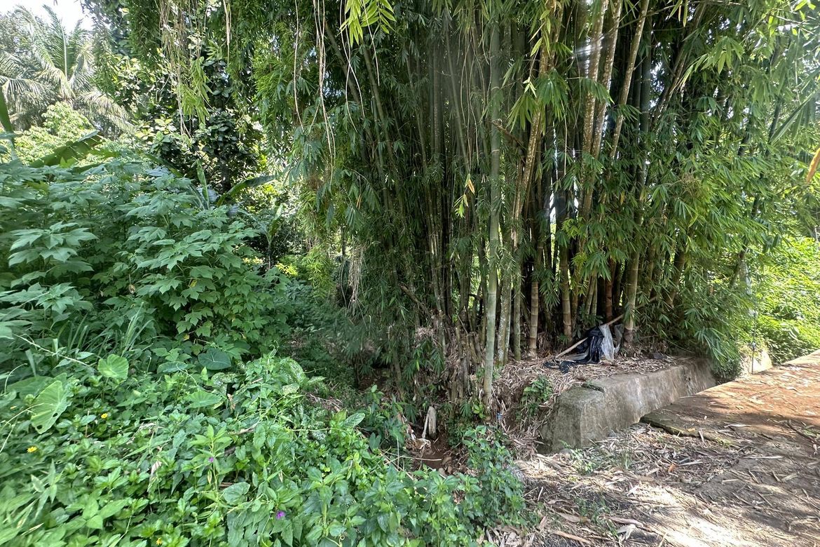 Land for Sale in Tagurano, Davao City, Davao del Sur – photo 7