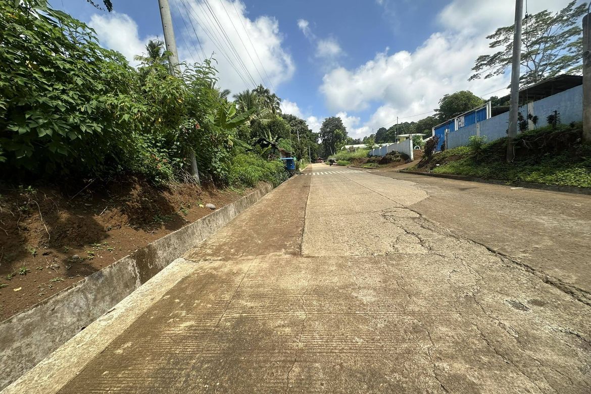 Land for Sale in Tagurano, Davao City, Davao del Sur – photo 8