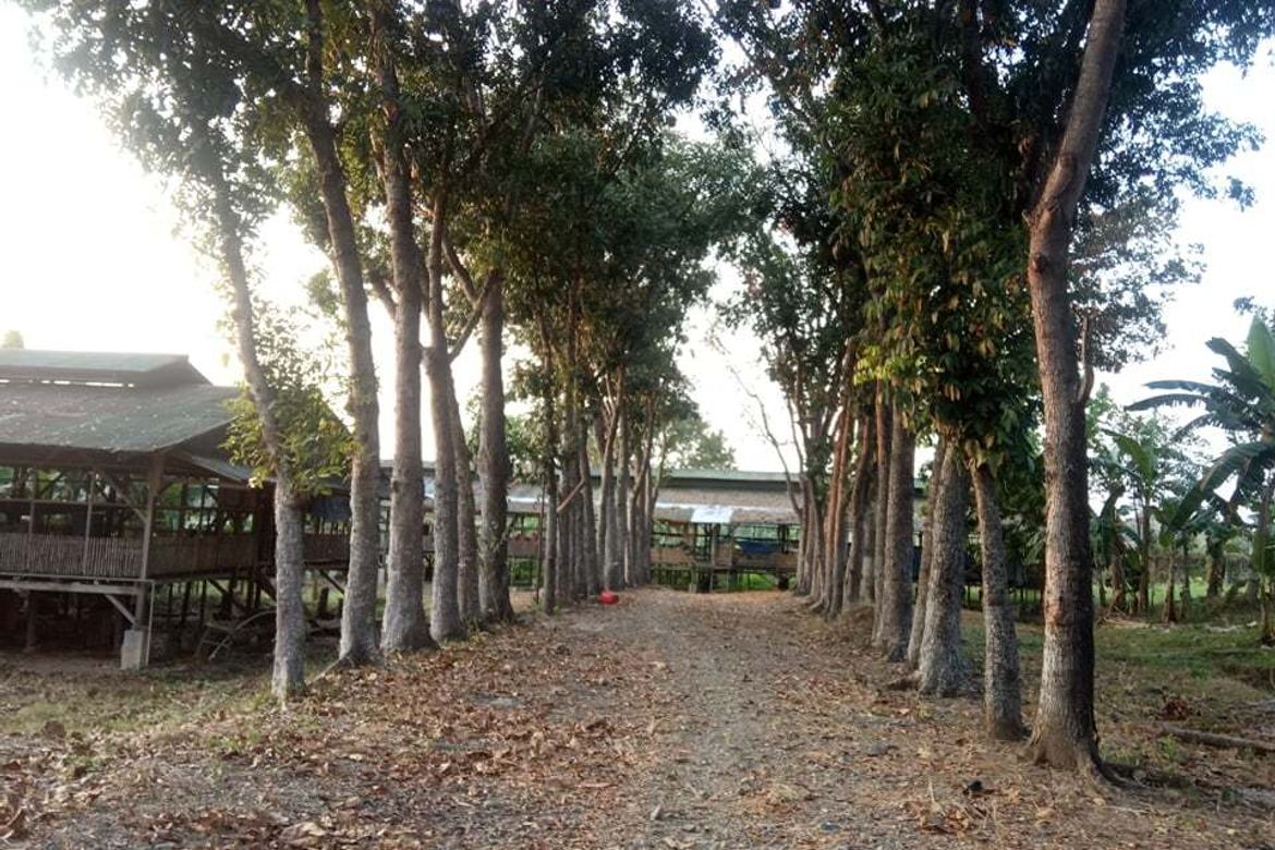 Land for Sale in Talacsan, San Rafael, Bulacan