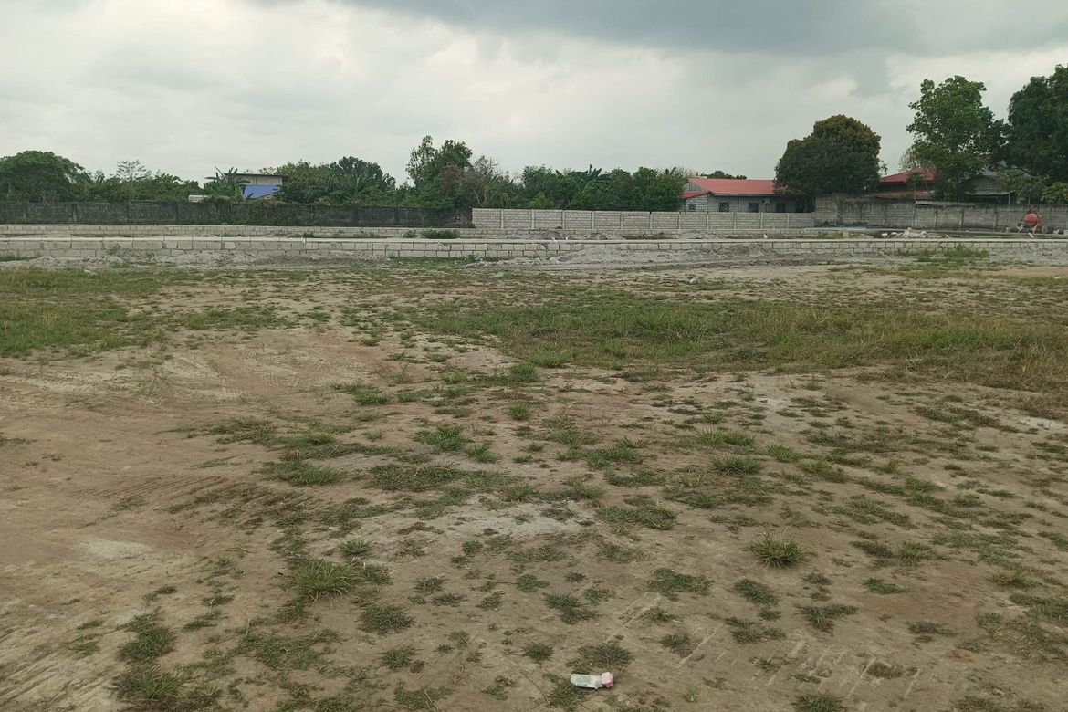 Land for Sale in Talaga, Capas, Tarlac – photo 4