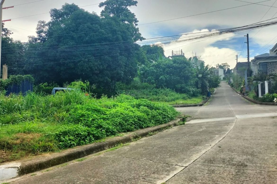 Land for Sale in Talamban, Cebu City, Cebu – photo 2