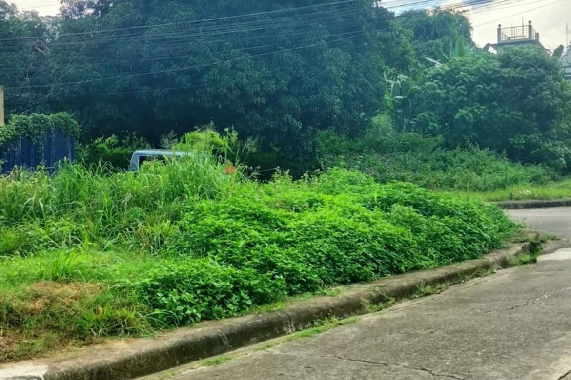 Land for Sale in Talamban, Cebu City, Cebu – photo 3