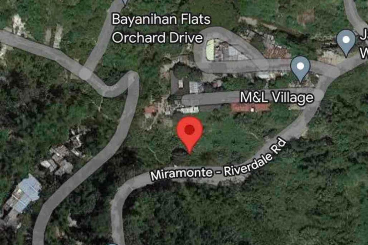 Land for Sale in Talamban, Cebu City, Cebu – photo 5