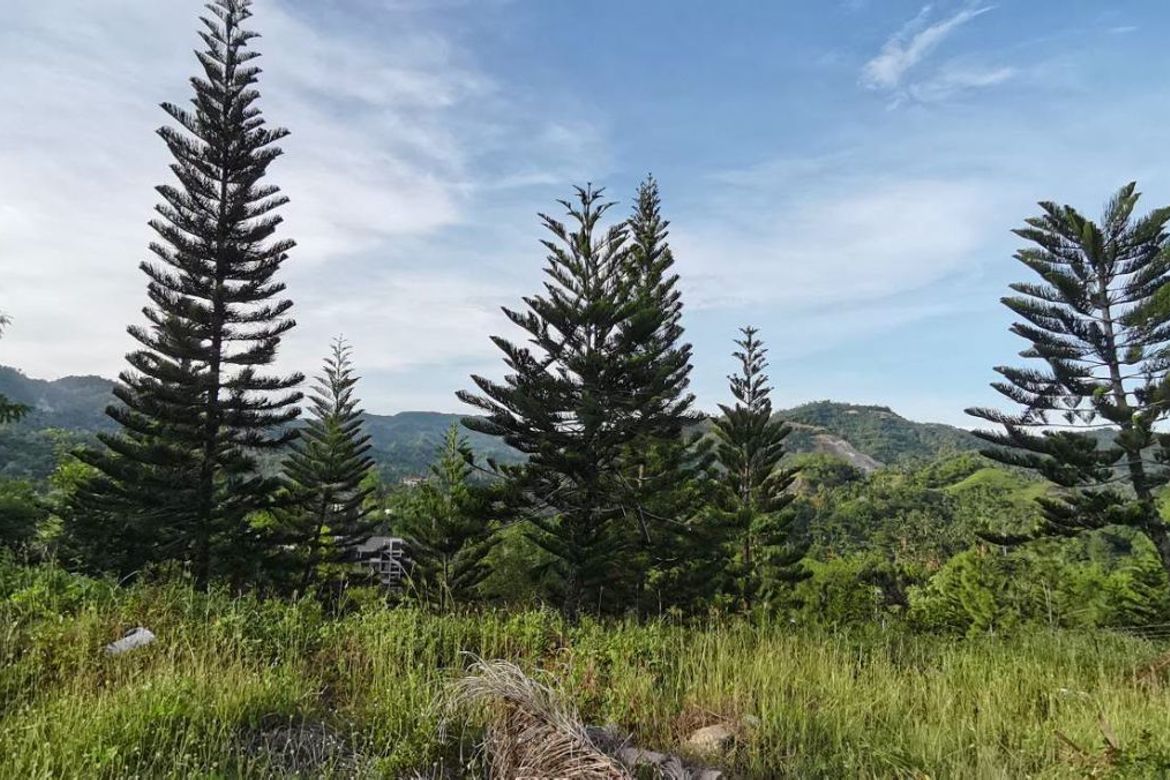 Land for Sale in Talamban, Cebu City, Cebu – photo 2