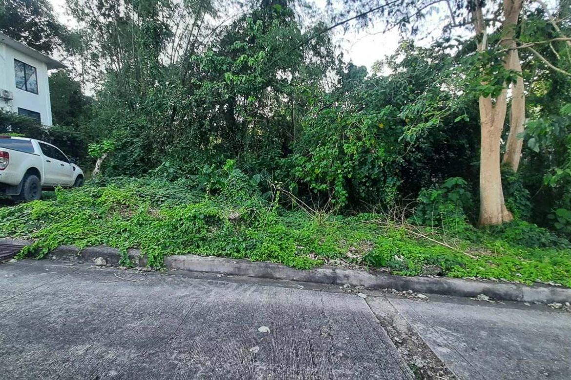 Land for Sale in Talamban, Cebu City, Cebu – photo 3