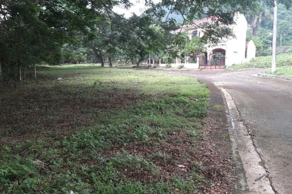 Land for Sale in Talamban, Cebu City, Cebu – photo 2