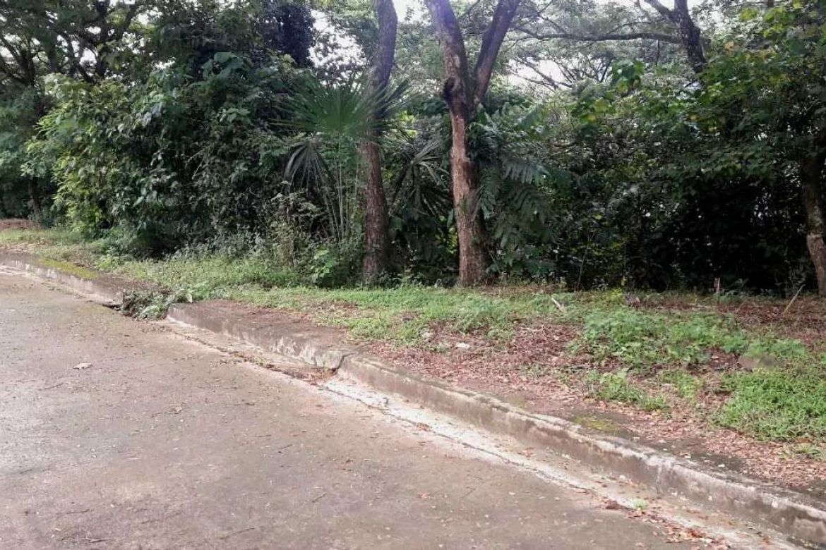 Land for Sale in Talamban, Cebu City, Cebu – photo 3