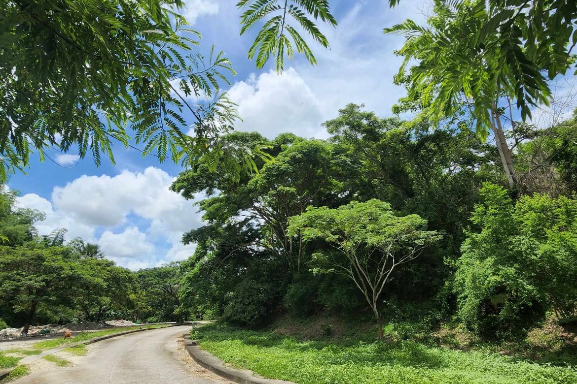 Land for Sale in Talamban, Cebu City, Cebu – photo 4
