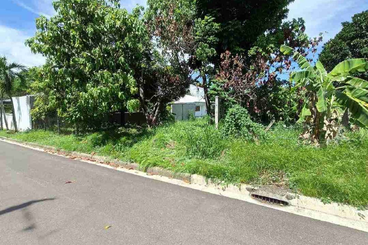 Land for Sale in Talamban, Cebu City, Cebu – photo 2