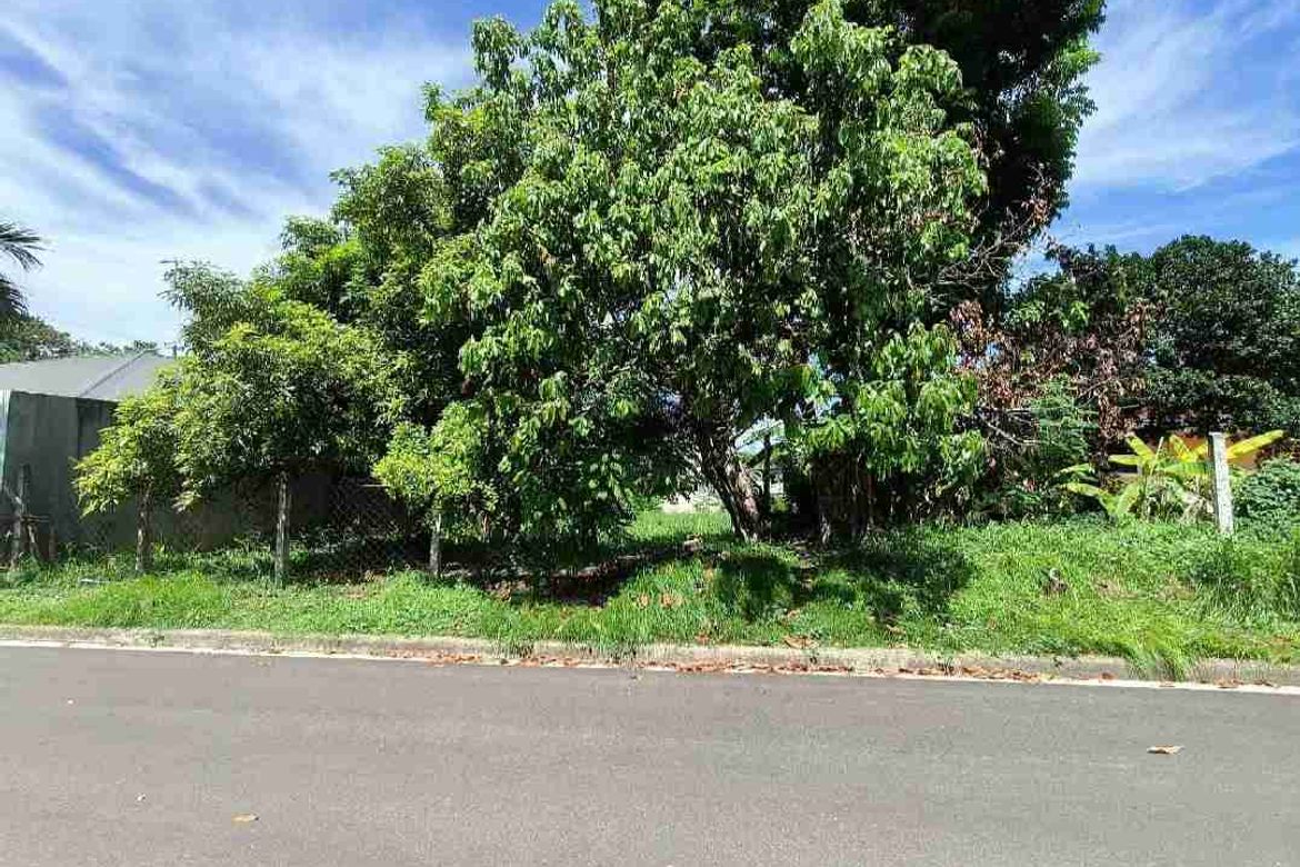Land for Sale in Talamban, Cebu City, Cebu – photo 3