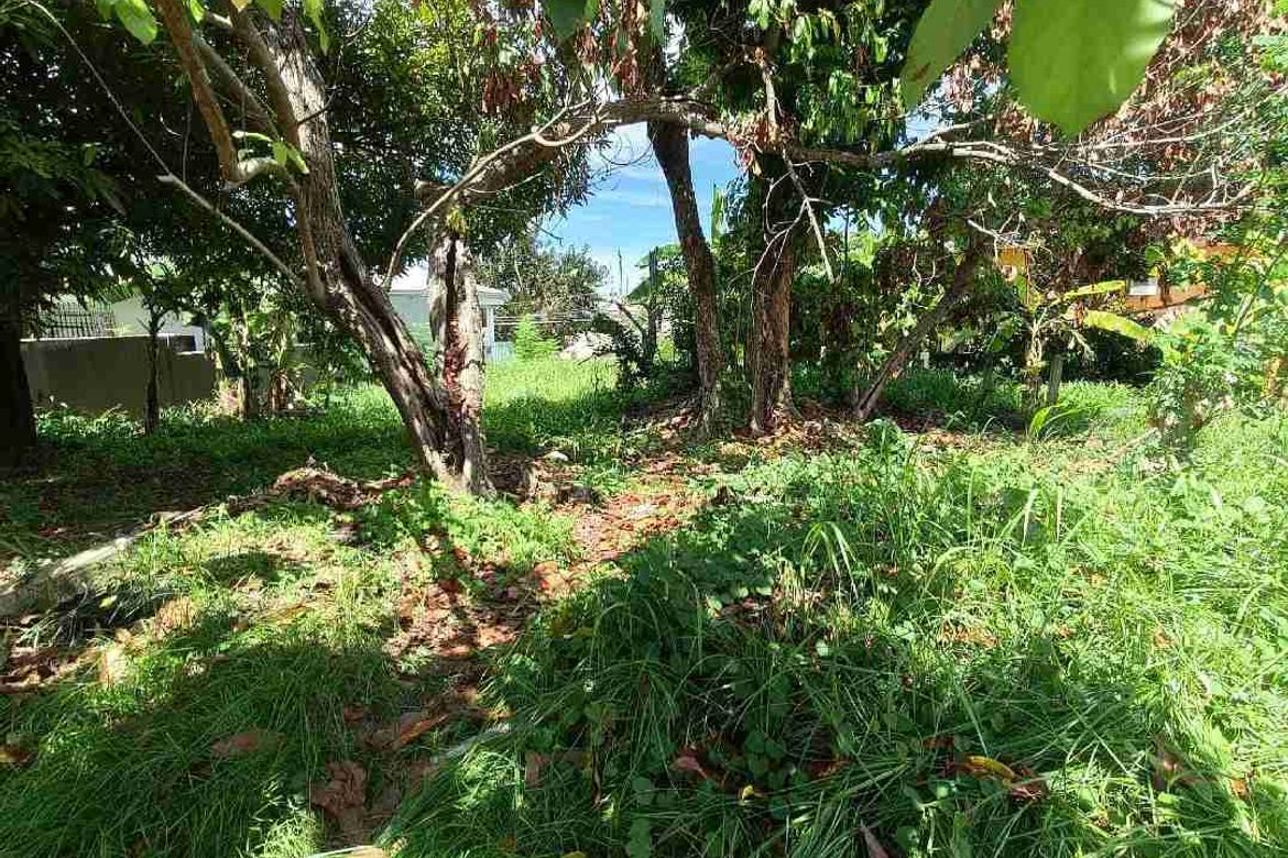 Land for Sale in Talamban, Cebu City, Cebu – photo 5