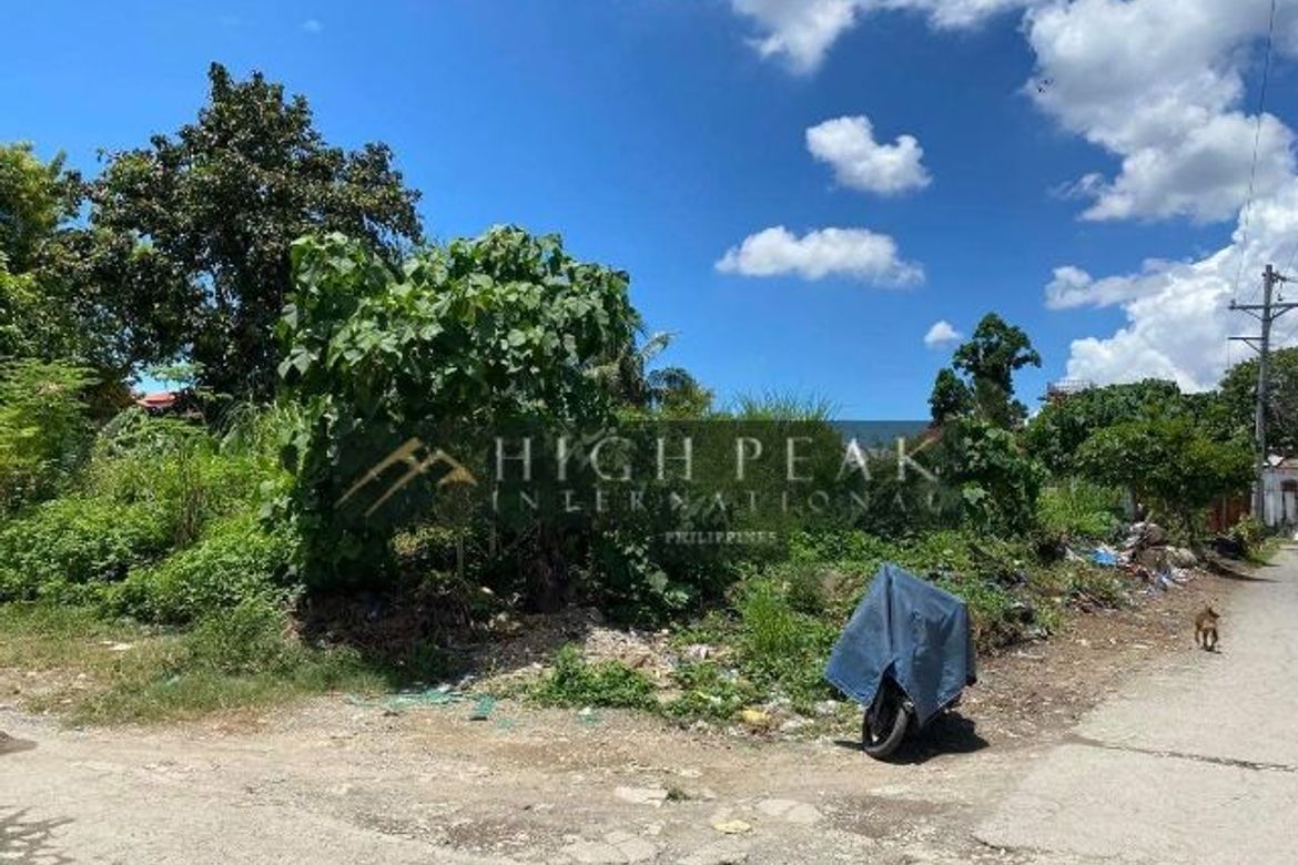 Land for Sale in Talamban, Cebu City, Cebu – photo 2