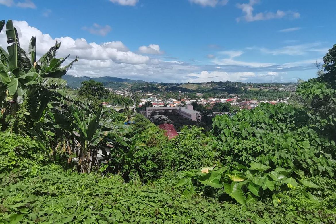 Land for Sale in Talamban, Cebu City, Cebu – photo 3
