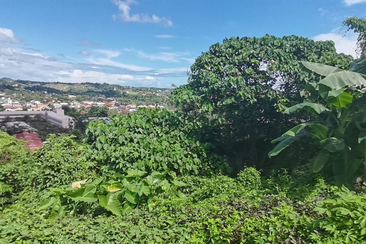 Land for Sale in Talamban, Cebu City, Cebu – photo 4
