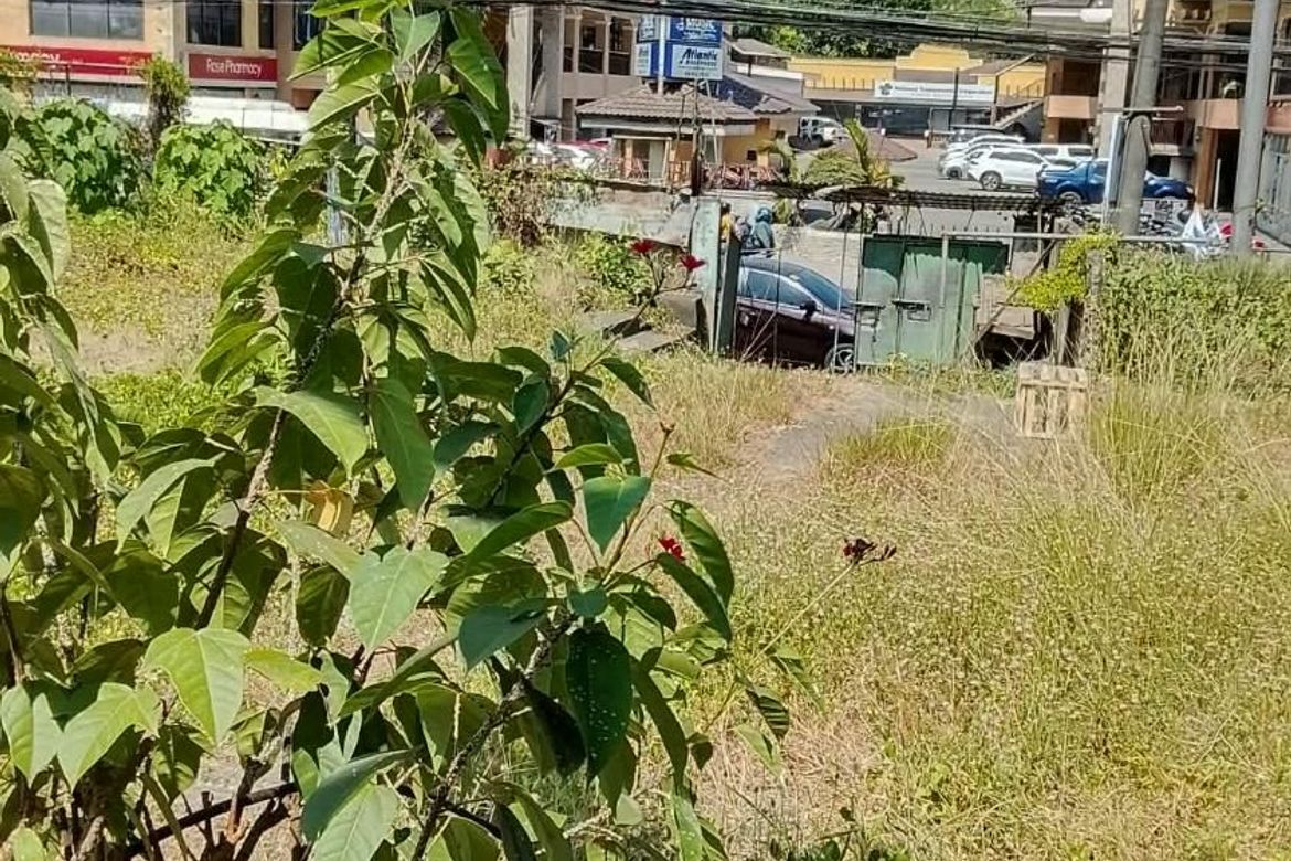 Land for Sale in Talamban, Cebu City, Cebu – photo 2
