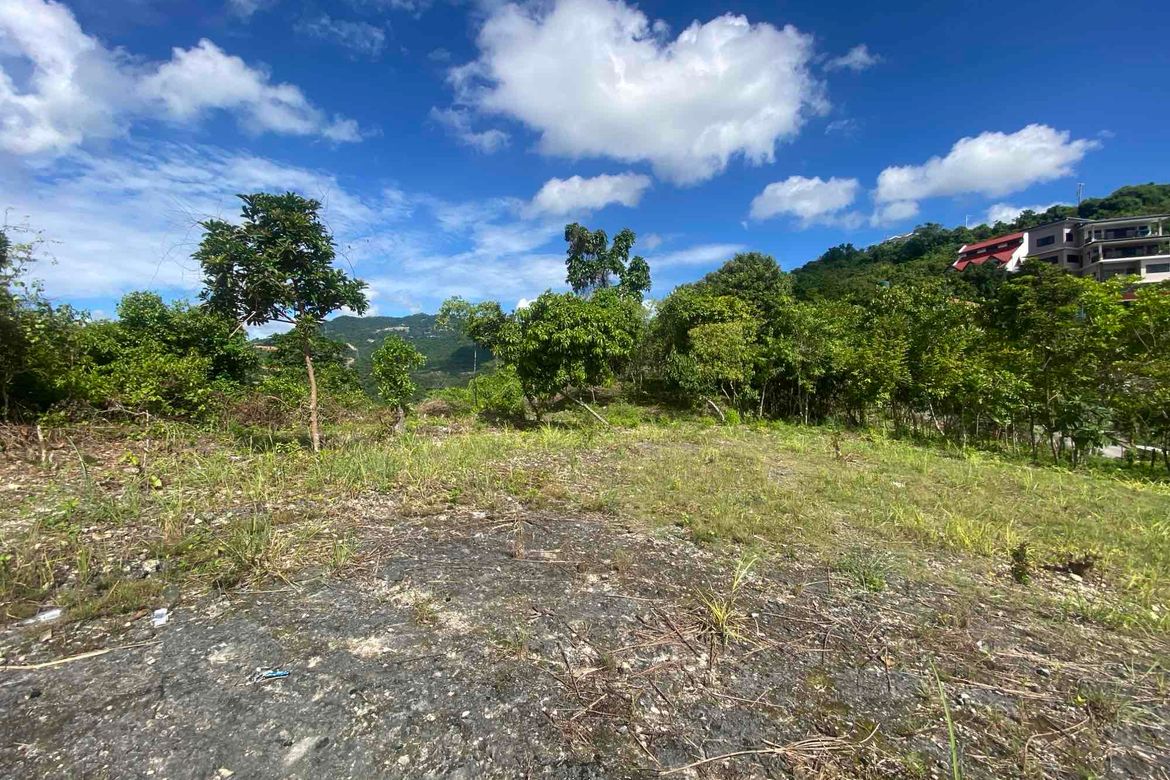 Land for Sale in Talamban, Cebu City, Cebu – photo 2