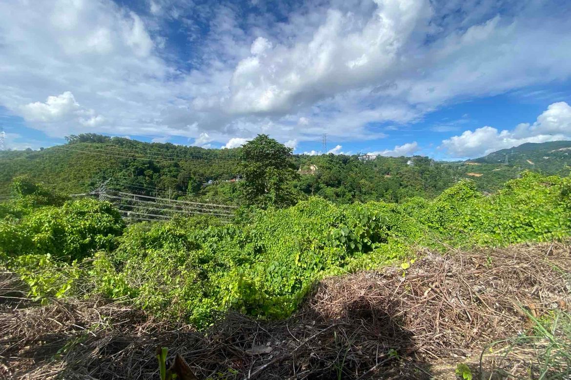 Land for Sale in Talamban, Cebu City, Cebu – photo 5