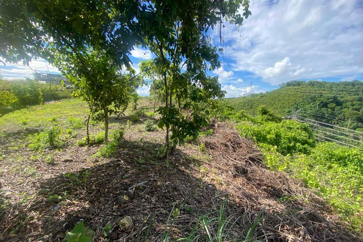 Land for Sale in Talamban, Cebu City, Cebu – photo 6