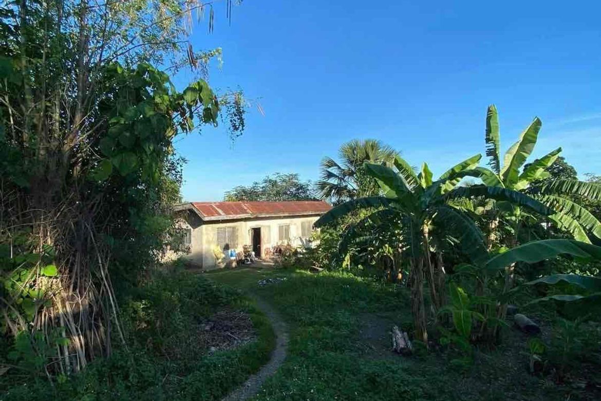 Land for Sale in Talamban, Cebu City, Cebu – photo 5