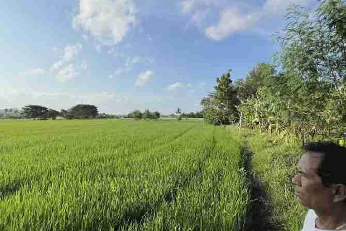 Land for Sale in Talanghauan, Cabatuan, Iloilo – photo 3