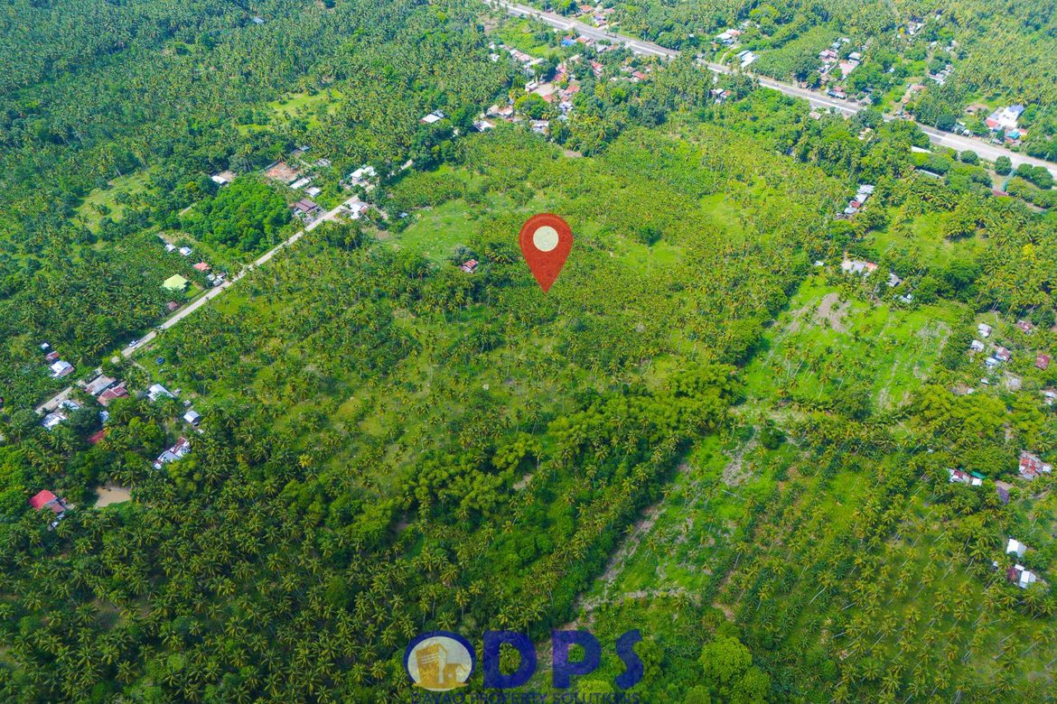 Land for Sale in Talas, Sulop, Davao del Sur – photo 4