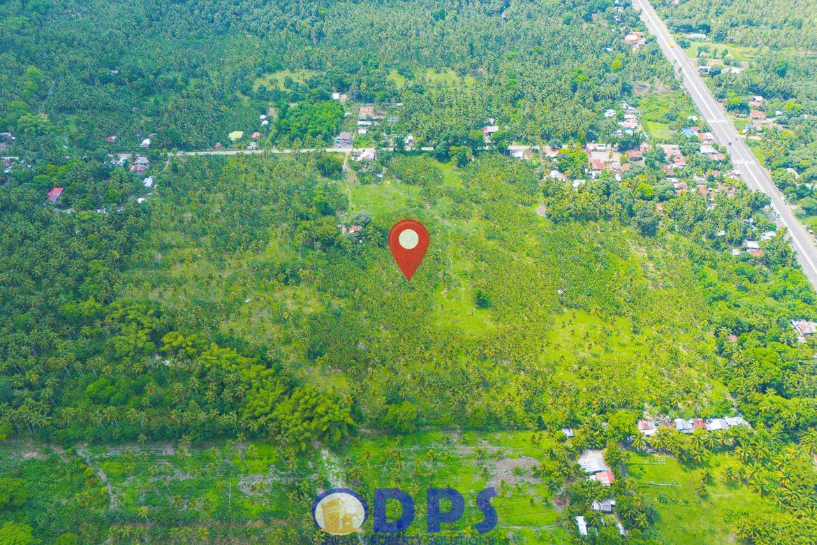 Land for Sale in Talas, Sulop, Davao del Sur – photo 5