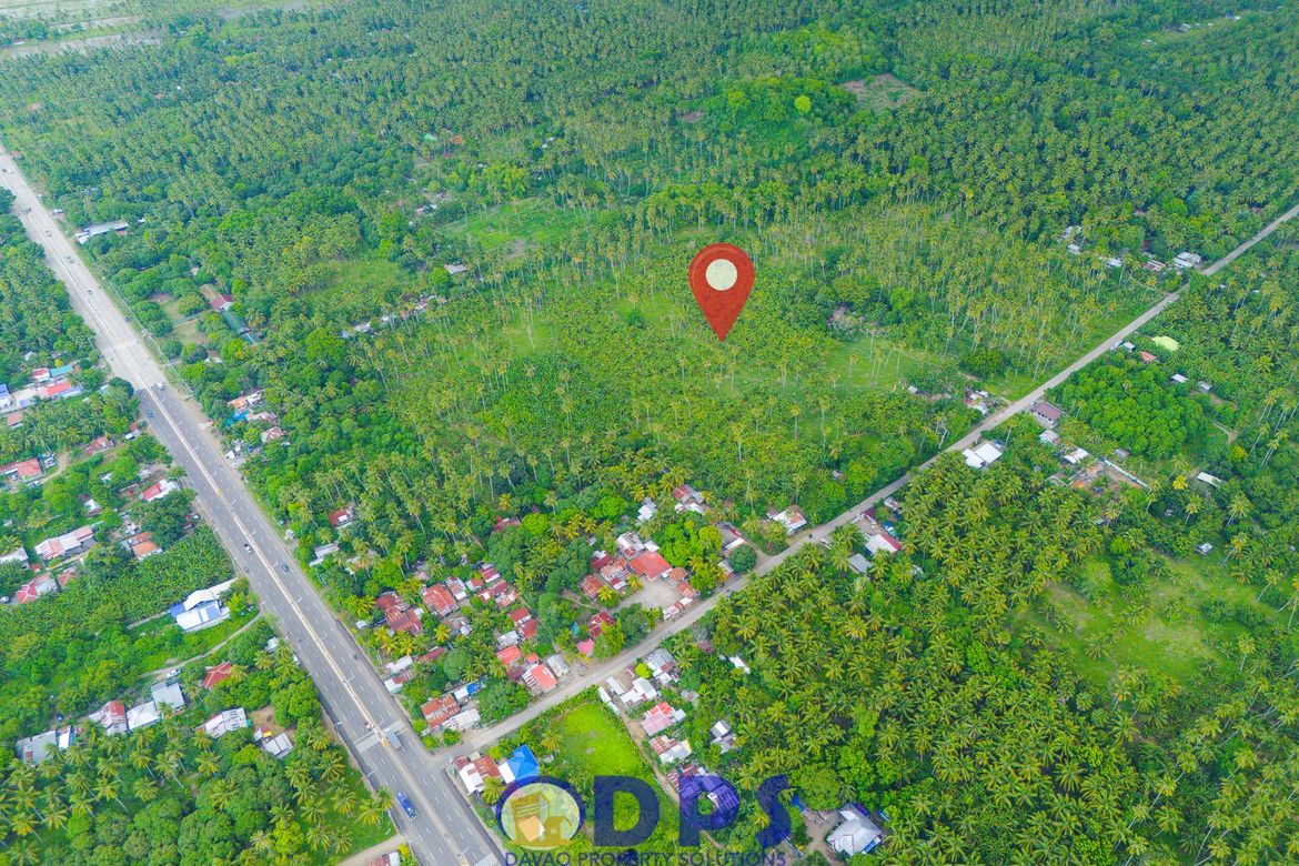 Land for Sale in Talas, Sulop, Davao del Sur – photo 7