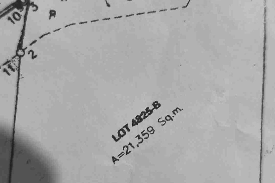 Land for Sale in Talavera, Toledo, Cebu – photo 2