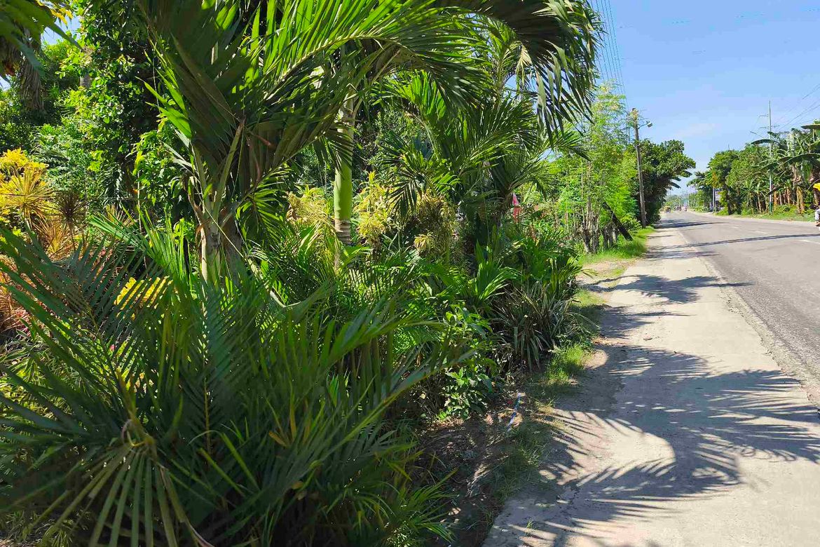 Land for Sale in Talavera, Toledo, Cebu – photo 5