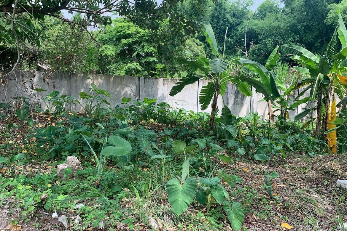 Land for Sale in Talay, Dumaguete, Negros Oriental – photo 3