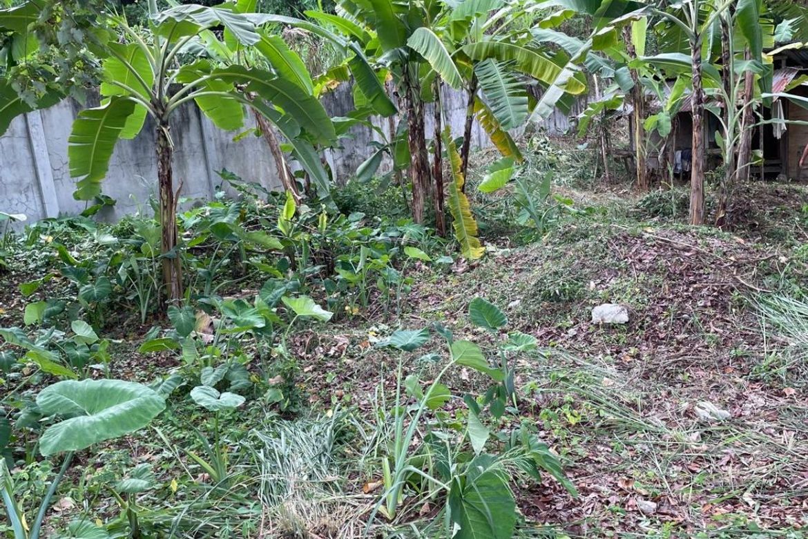 Land for Sale in Talay, Dumaguete, Negros Oriental – photo 5