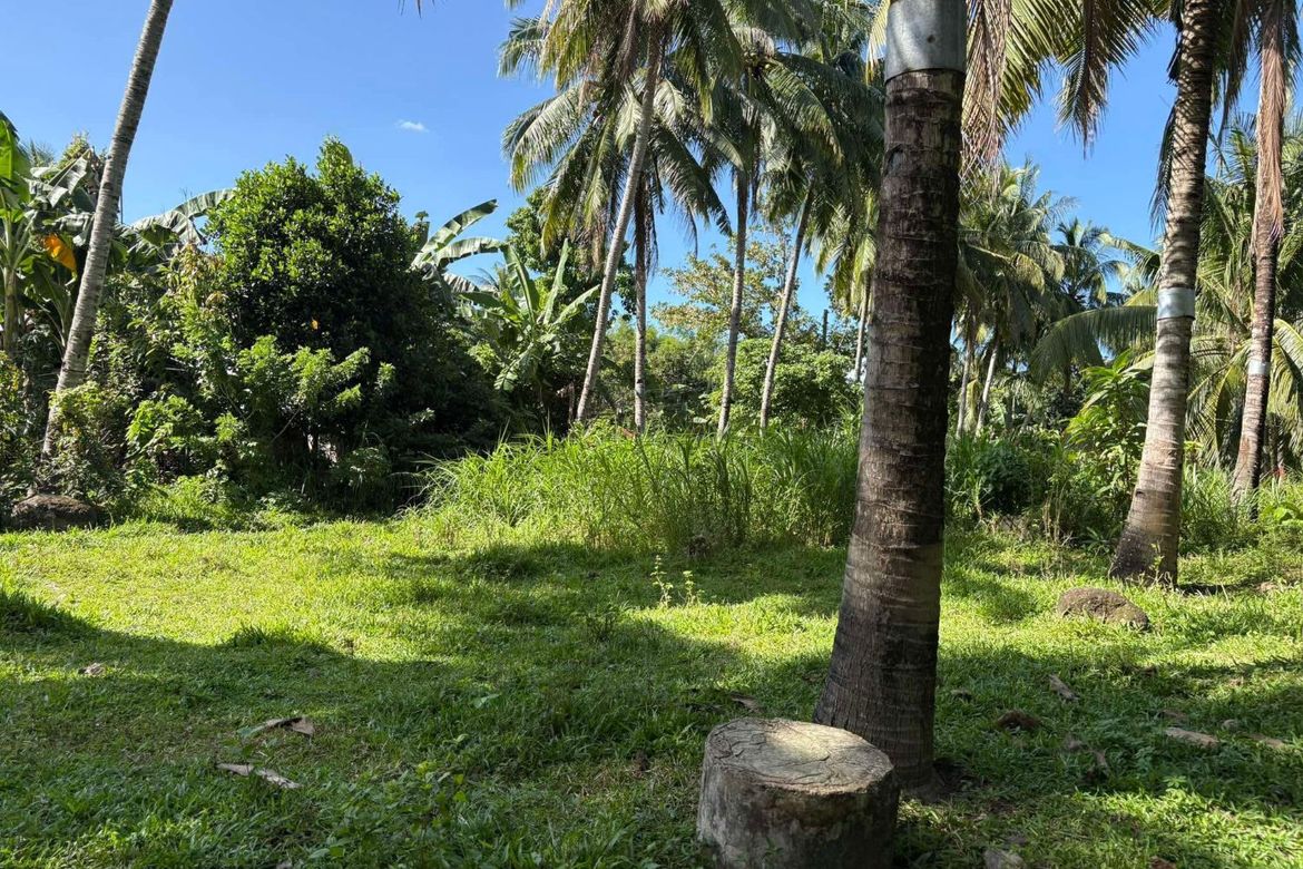 Land for Sale in Talay, Dumaguete, Negros Oriental
