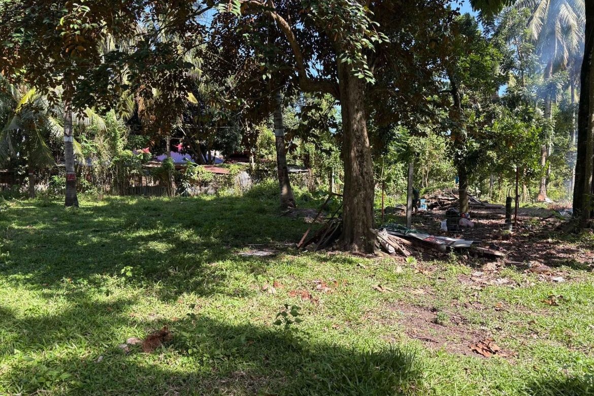 Land for Sale in Talay, Dumaguete, Negros Oriental – photo 2