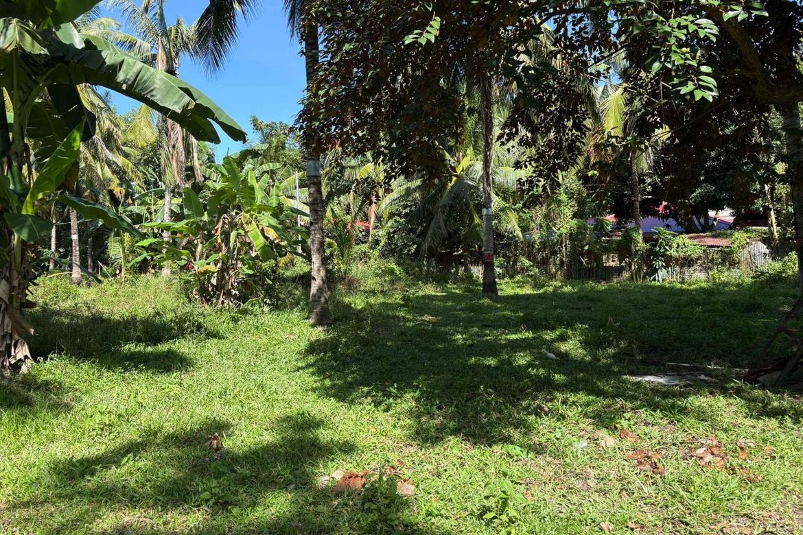 Land for Sale in Talay, Dumaguete, Negros Oriental – photo 5